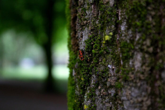 GioveBì al Parco