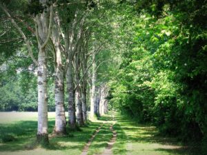 Appello a tutti i cittadini: rimanete a casa, non frequentate il Parco