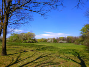Il parco riapre, con prudenza