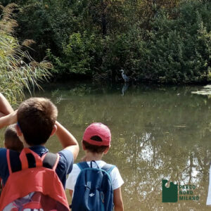Al via le Settimane verdi al Parco Nord Milano