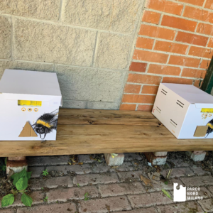 Il progetto impollinatori al Parco