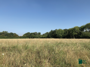 Nuovi progetti di riqualificazione ambientale