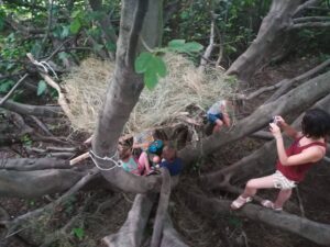 Pedagogia del bosco con il centro estivo “In movimento”