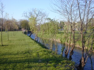 Un nuovo Parco per tutelare le acque del Seveso