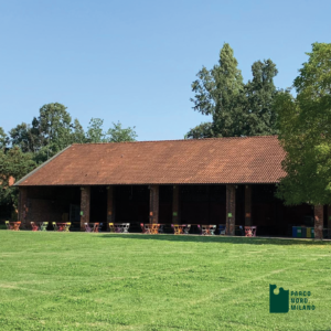 Scuola delle Cascine Aperte