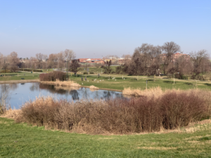 Ordinanza con nuove misure di sicurezza al Parco