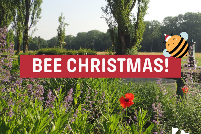 Bee Christmas! continua fino all’epifania
