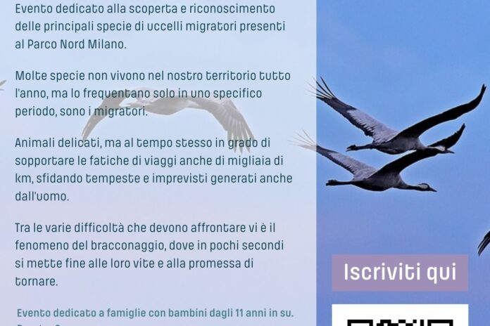 Domenica 15 ottobre: World Migratory Bird Day