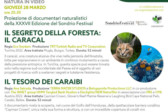 Giovedì 28 marzo: Natura in video dal SondrioFestival