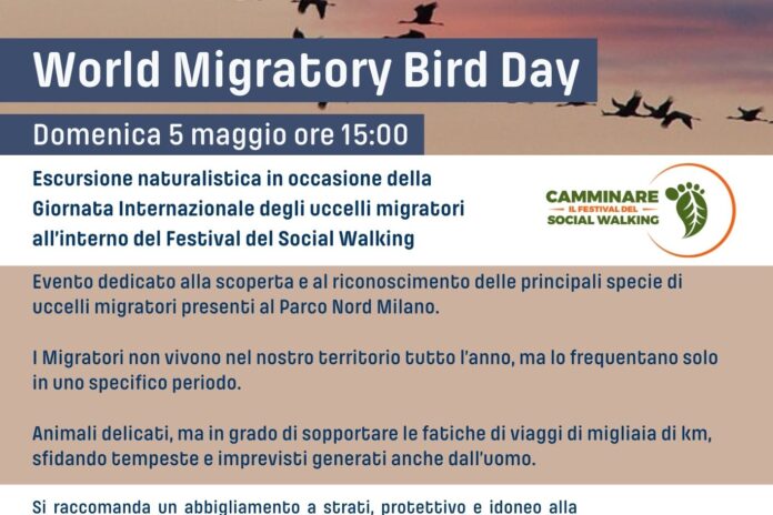 Domenica 5 maggio: World Migratory Bird Day