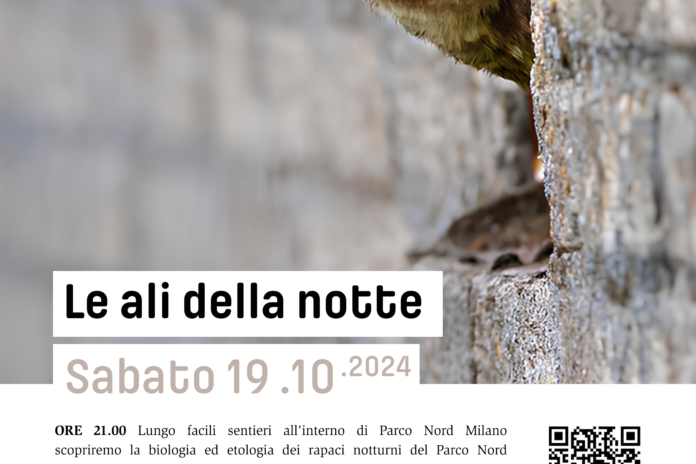 Sabato 19 ottobre: Le ali della notte