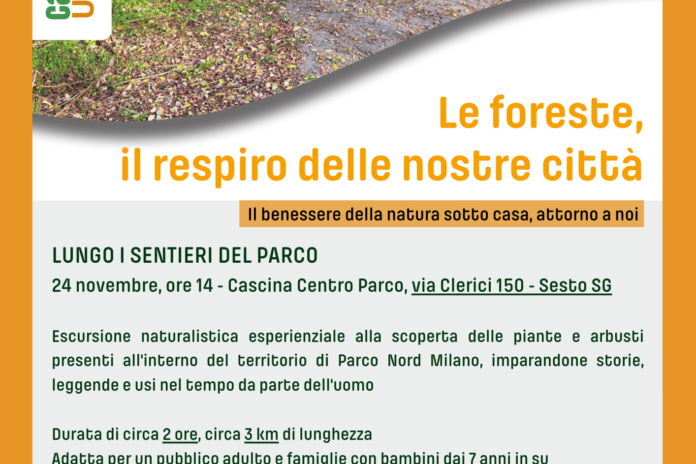 Domenica 24 novembre: Le foreste, il respiro delle nostre città