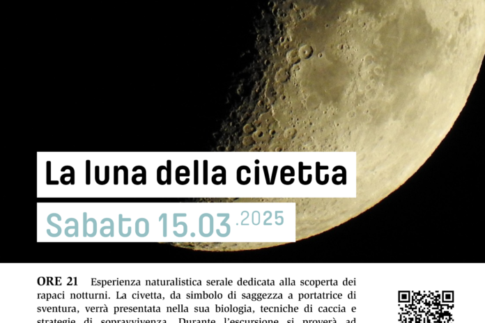 Sabato 15 marzo: La luna della civetta