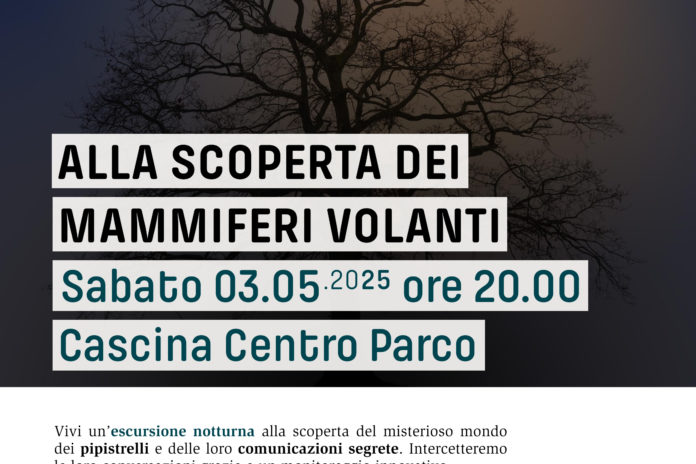 Sabato 3 maggio: Alla scoperta dei mammiferi volanti