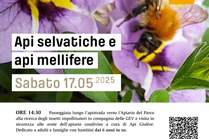 Sabato 17 maggio: Api selvatiche e api mellifere