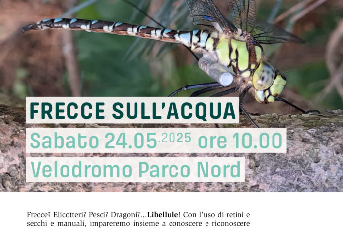 Sabato 24 maggio: Frecce sull’acqua