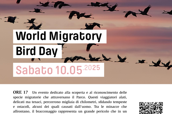 Sabato 10 maggio: World Migratory Bird Day