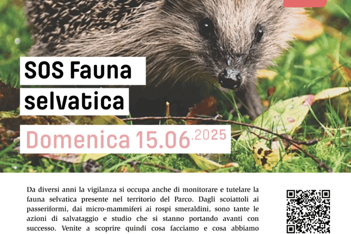 Domenica 15 giugno: SOS Fauna selvatica