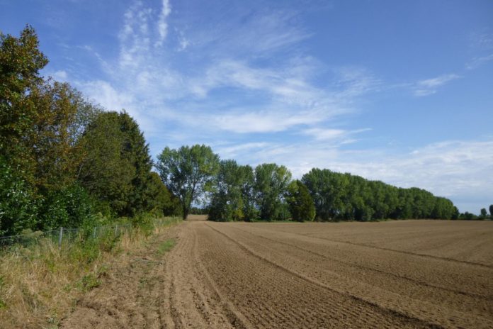 Parco Nord Milano si amplia