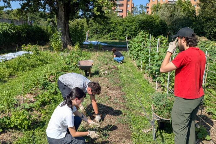 Servizio Civile Agricolo con AREA Parchi Lombardia