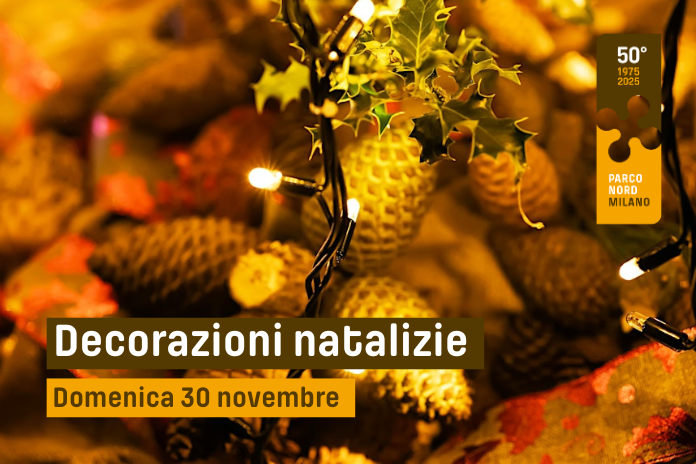 DECORAZIONI NATALIZIE AL PARCO