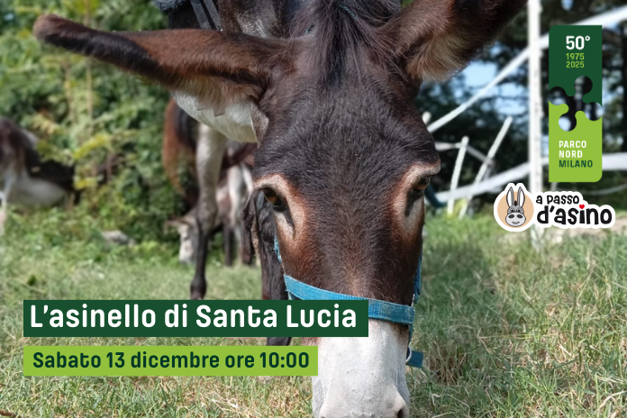 L’asinello di Santa Lucia