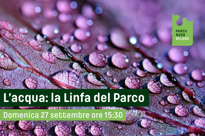 L’acqua: la Linfa del Parco