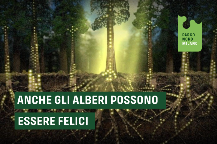 Anche gli alberi possono essere felici