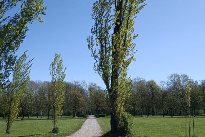 La Terra non è un campo di battaglia