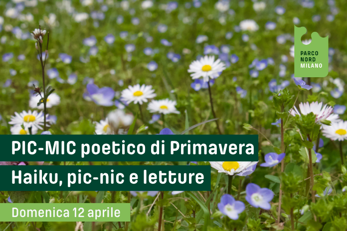 PIC-MIC POETICO – haiku, pic-nic e letture