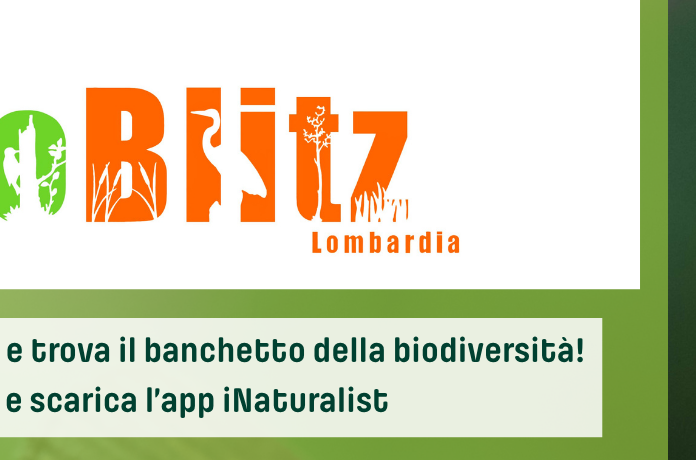 BioBlitz Lombardia 2026