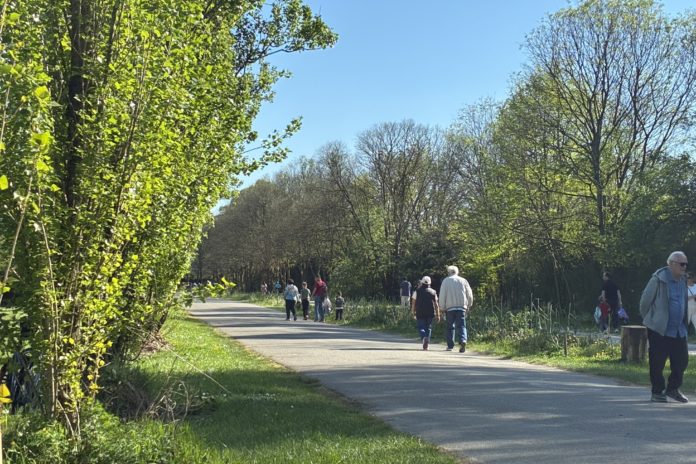 MultiMedica e Parco Nord Milano avviano un progetto per la salute attraverso gli spazi verdi
