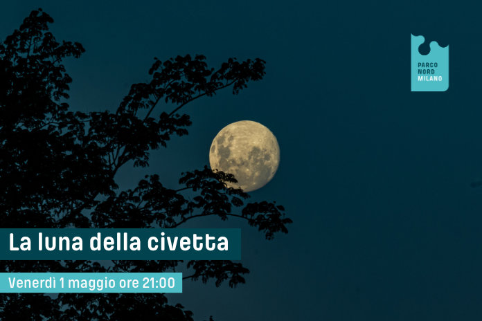 La luna della civetta