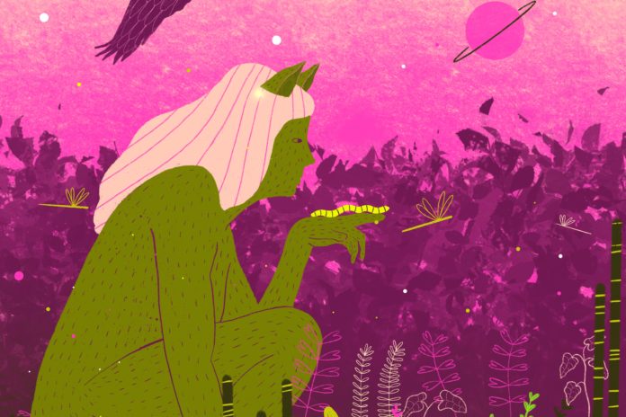 Al via la XX edizione del Festival della Biodiversità!