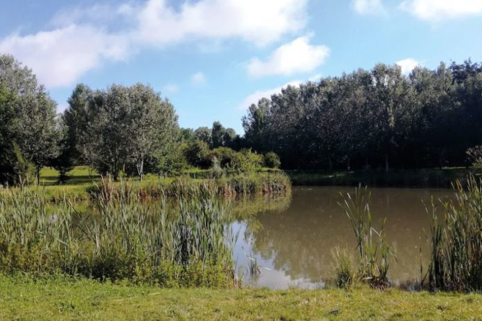 Parco Nord Milano cresce: avviato il percorso per l’ampliamento delle aree protette a Cinisello Balsamo