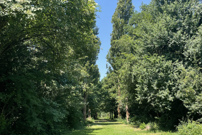 Il Parco non va in vacanza