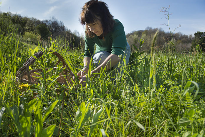 Domenica 13 settembre vi aspettiamo per Ben-Essere in Natura al Parco Nord Milano