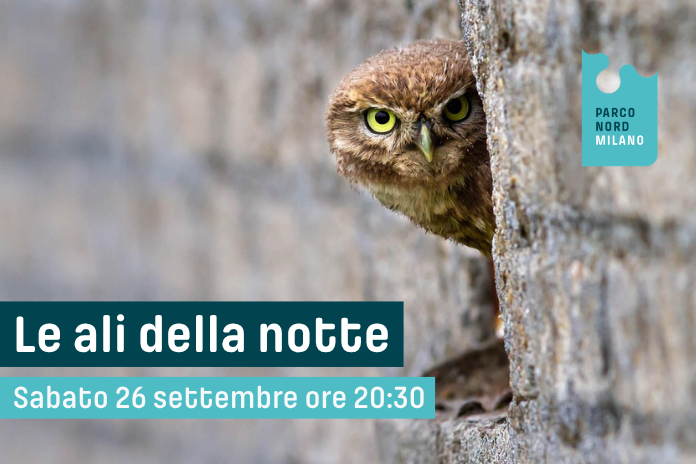 Le Ali della Notte