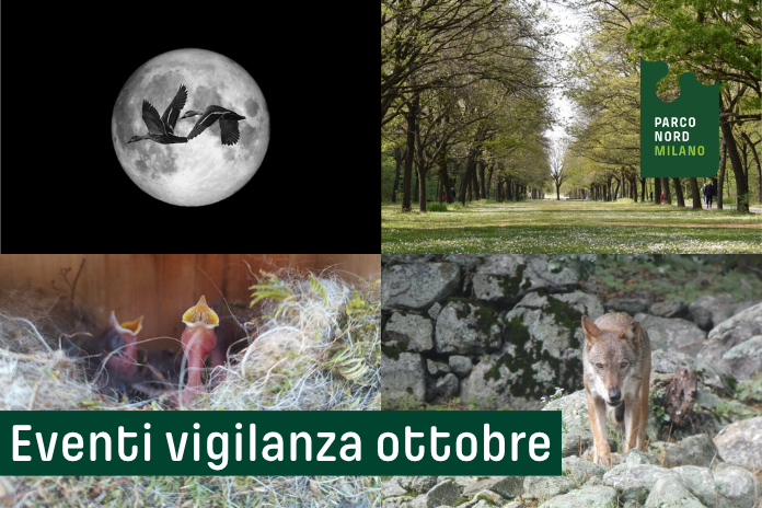 EVENTI VIGILANZA OTTOBRE 2026
